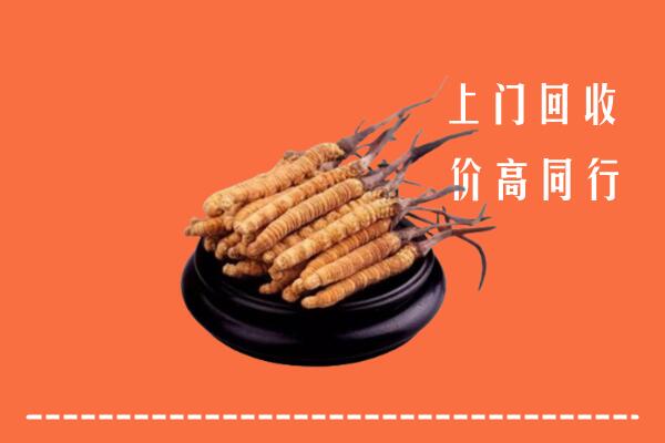 高价求购：九江市濂溪区回收散虫草