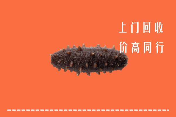 九江市濂溪区回收海参